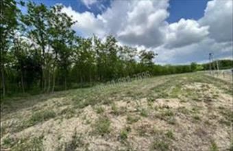 Eladó Dabasi egyéb telek hirdetés (53234838)