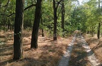 Eladó Lajosmizsei termőföld, szántó hirdetés (97377823)