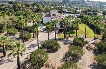 Eladó Spanyolországi tanya hirdetés (35933224)