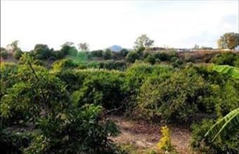 Eladó Spanyolországi lakóövezeti telek hirdetés (59529993)