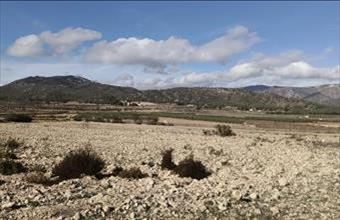 Eladó Spanyolországi lakóövezeti telek hirdetés (35354434)