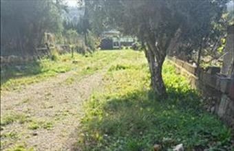 Eladó Spanyolországi lakóövezeti telek hirdetés (39429443)