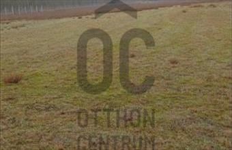 Eladó Kecskeméti lakóövezeti telek hirdetés (47392763)