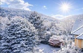 Eladó Budapest II. kerületi családi ház hirdetés (74465692)