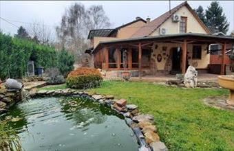 Eladó Verőcei családi ház hirdetés (43732399)