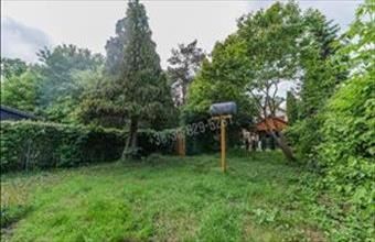 Eladó Tatai családi ház hirdetés (76794471)