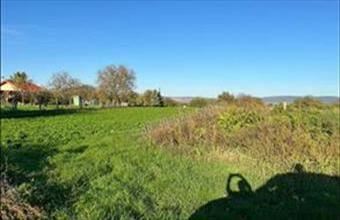 Eladó Tatai egyéb mezőgazdasági ingatlan hirdetés (92949437)