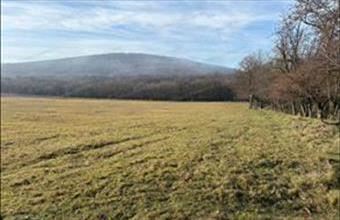 Eladó Monostorapáti külterületi telek hirdetés (83823543)