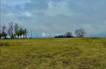 Eladó Pilisvörösvári külterületi telek hirdetés (93348337)