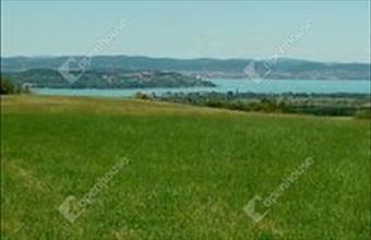 Eladó Kőröshegyi külterületi telek hirdetés (88469776)