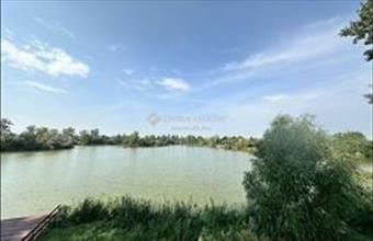 Eladó Délegyházai hétvégi ház hirdetés (46722649)