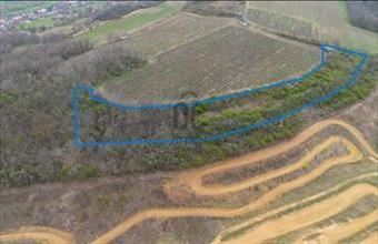 Eladó Alsónánai egyéb mezőgazdasági ingatlan hirdetés (23972239)