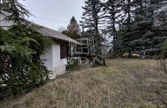 Eladó Szigetmonostori családi ház hirdetés (74229764)