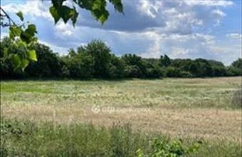 Eladó Pilisi fejlesztési lakóterület hirdetés (43582797)