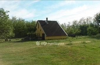 Eladó Nyíregyházai külterületi telek hirdetés (73447572)