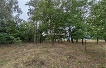 Eladó Izsáki tanya hirdetés (75738793)