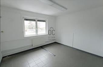 Kiadó Nyíregyházai egyéb vendéglátó ingatlan hirdetés (94344869)