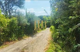 Eladó Pátyi egyéb telek hirdetés (52322622)