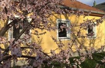 Eladó Siófoki családi ház hirdetés (48684334)