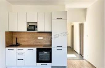 Kiadó Tatai tégla lakás hirdetés (75764649)