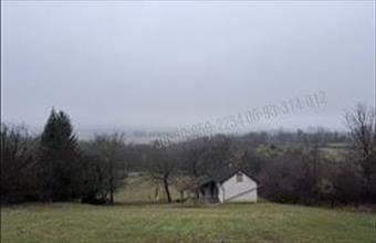 Eladó Gelsei egyéb mezőgazdasági ingatlan hirdetés (66291535)