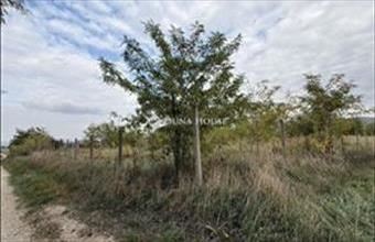 Eladó Nyergesújfalui egyéb telek hirdetés (49699379)