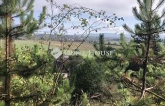 Eladó Mogyorósbányai külterületi telek hirdetés (87729583)