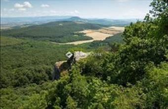 Eladó Bajóti üdülőövezeti telek hirdetés (97744844)