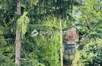 Eladó Piliscsabai családi ház hirdetés (39863416)