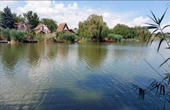 Eladó Gyomaendrődi családi ház hirdetés (49823596)