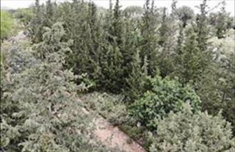 Eladó Görögországi lakóövezeti telek hirdetés (85292941)