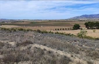 Eladó Spanyolországi lakóövezeti telek hirdetés (11237453)