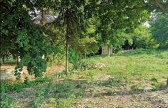 Eladó Bakonyszentlászlói lakóövezeti telek hirdetés (18434784)