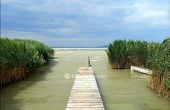 Eladó Balatonmáriafürdői hétvégi ház hirdetés (71474329)