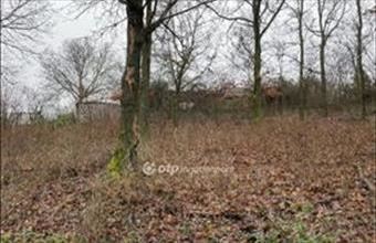 Eladó Tahitótfalui lakóövezeti telek hirdetés (45919874)