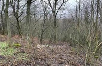 Eladó Tahitótfalui lakóövezeti telek hirdetés (44273523)