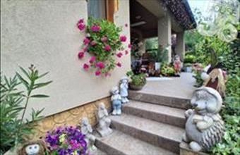 Eladó Kecskeméti családi ház hirdetés (79574395)