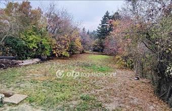 Eladó Balatonfűzfői külterületi telek hirdetés (53354684)