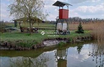 Eladó Kiskunmajsai külterületi telek hirdetés (58735244)