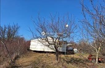 Eladó Bicskei külterületi telek hirdetés (61245947)