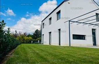 Eladó Szentendrei családi ház hirdetés (48298749)