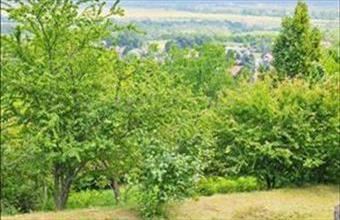 Eladó Pomázi lakóövezeti telek hirdetés (35835746)