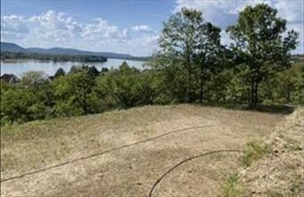 Eladó Zebegényi lakóövezeti telek hirdetés (72253218)