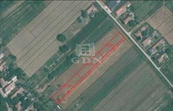 Eladó Pátkai lakóövezeti telek hirdetés (55154744)