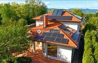 Eladó Solymári családi ház hirdetés (65475188)