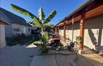 Eladó Dunaegyházai családi ház hirdetés (64354494)