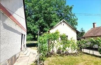 Eladó Mezőhegyesi családi ház hirdetés (14371559)