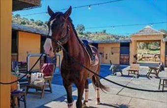 Eladó Spanyolországi tanya hirdetés (62889354)