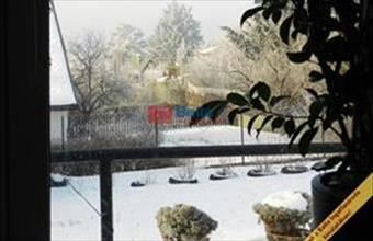 Eladó Szentendrei családi ház hirdetés (42775377)