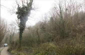 Eladó Zalaszentgróti külterületi telek hirdetés (93417697)